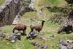 Peru_134