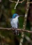 Peru_160