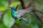 Peru_162