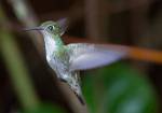 Peru_163