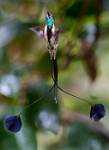Peru_164