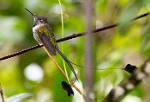 Peru_166