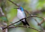 Peru_168
