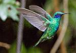 Peru_172