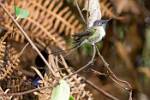Peru_175