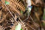 Peru_176