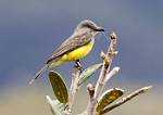 Peru_184