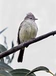 Peru_185