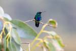 Peru_202
