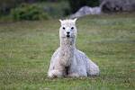 Peru_204