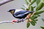 Peru_205