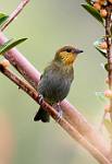 Peru_213