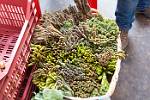 Peru_236