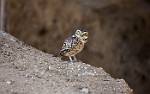 Peru_292
