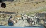 Peru_316