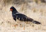Peru_318