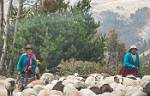 Peru_319