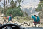 Peru_320