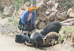 Peru_326