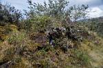 Peru_338