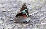 Peru_342