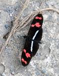 Peru_346