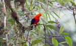 Peru_348
