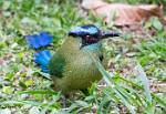 Peru_351