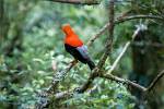 Peru_352