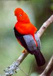 Peru_353