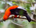 Peru_355