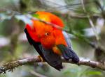 Peru_356
