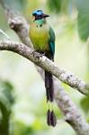 Peru_357