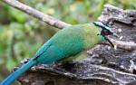 Peru_363