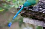 Peru_364