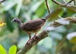 Peru_366