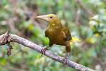 Peru_369