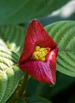 Peru_375