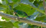 Peru_378