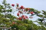 Peru_379
