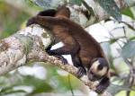 Peru_402