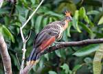 Peru_429