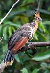 Peru_430