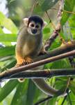 Peru_436