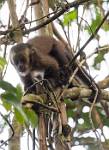 Peru_437