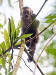 Peru_438