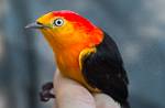 Peru_458