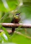 Peru_486