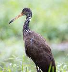 Peru_489