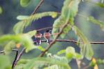 Peru_493